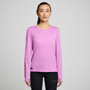 Női Saucony Stopwatch Graphic Long Sleeve Póló Lila | HUNGARY SUMGT